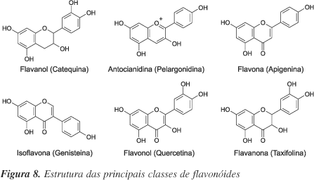 Flavonóides - antioxidantes