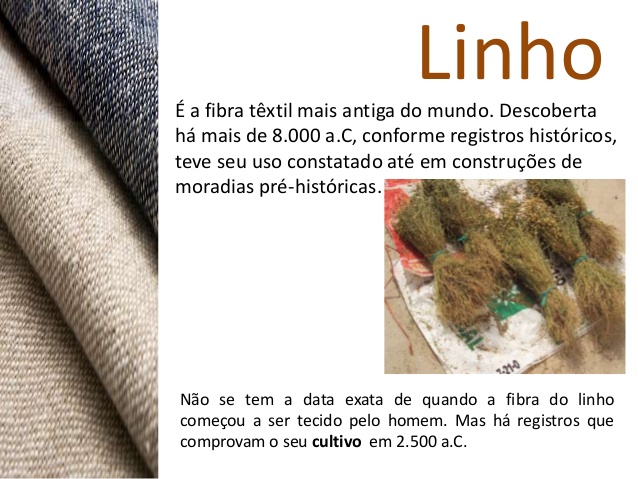 O Cultivo da Linhaça hoje no Brasil